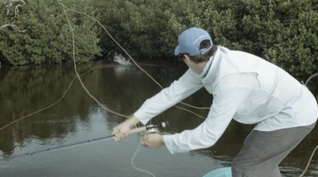 WARNING: Some people might consider these tarpon videos NSFW!